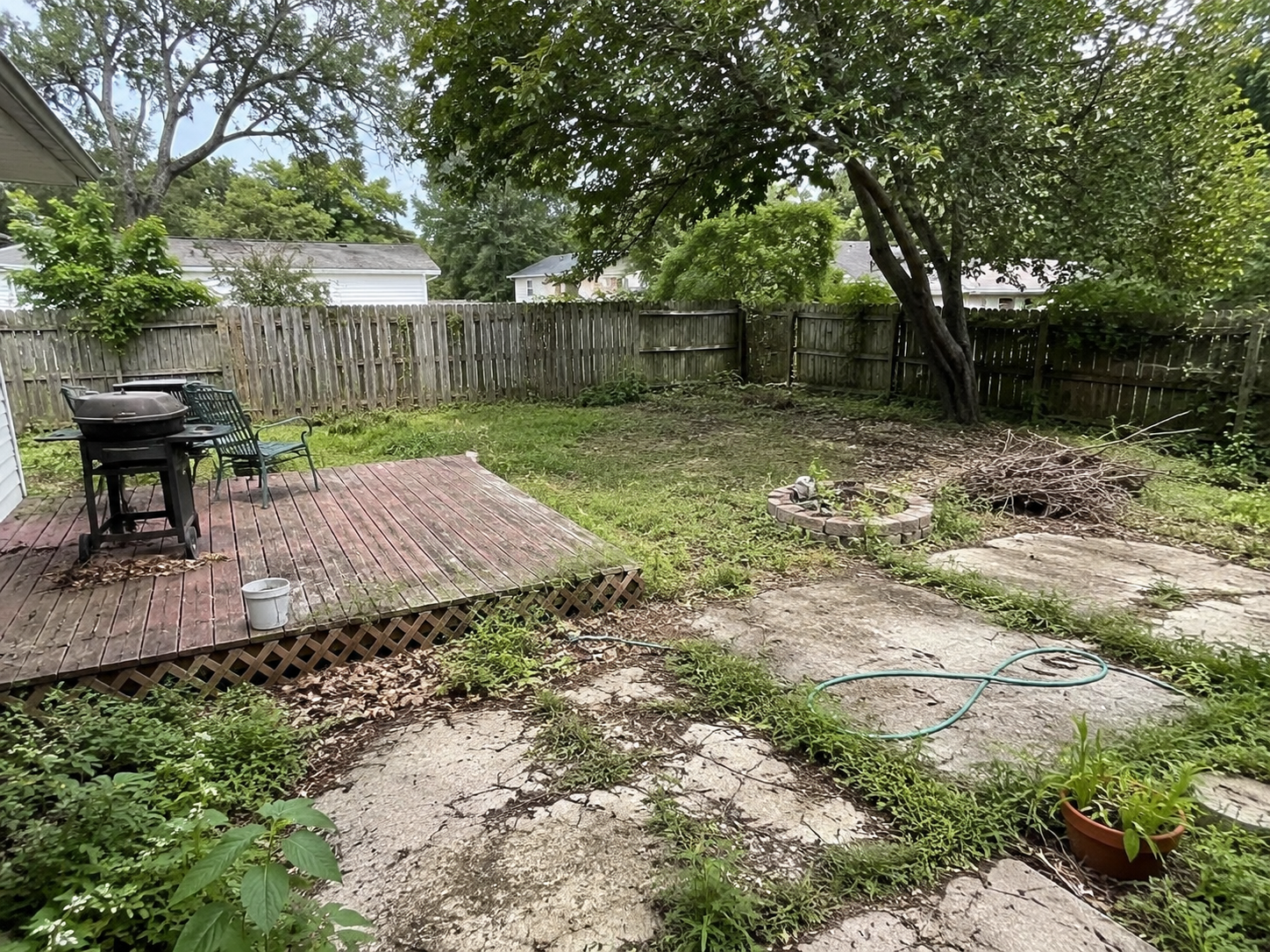 An overgrown backyard before cleanup